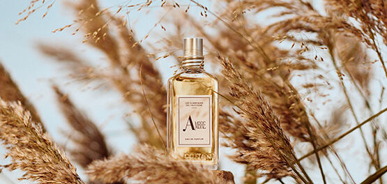 Difference between eau de parfum and eau hot sale de cologne